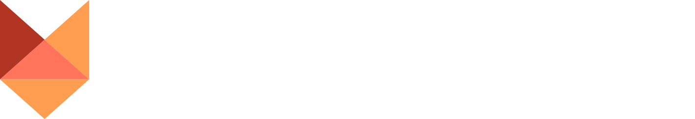 Netfox Technology Solutions